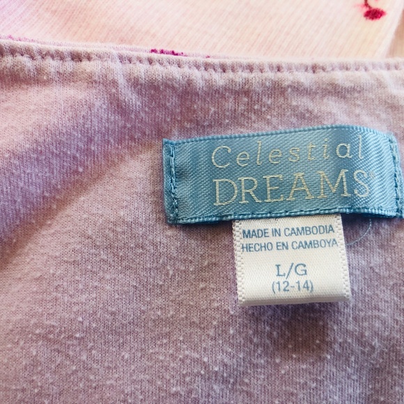 Pink Ruffled Hem and Collar Floral Nightgown Pullover Celestial Dream Large - Picture 2 of 11